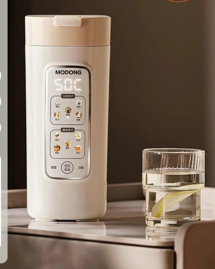 Nešiojamas elektrinis vandens šildymo puodelis su filtru, 220V