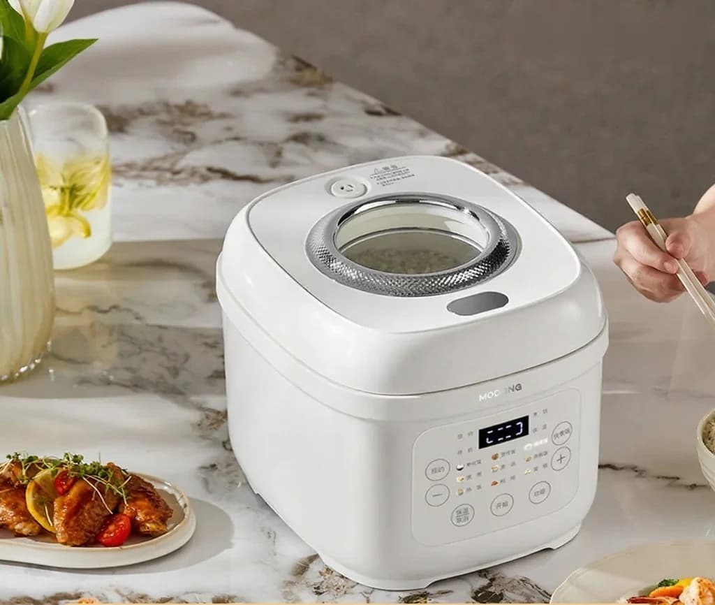 3L elektrinis ryžių viriklis su keraminiu vidiniu puodu, 600W